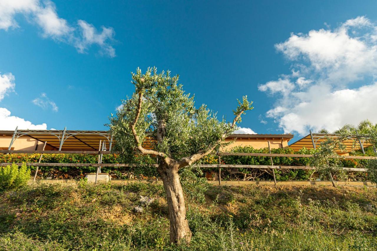 Solemar Sicilia - Le Casette Di Calzata Campofelice Di Roccella Exterior foto